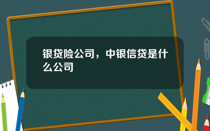 银贷险公司，中银信贷是什么公司