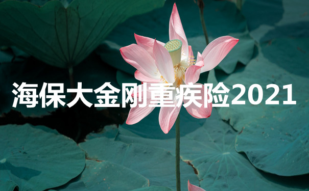 海保大金刚重疾险2021性价比高吗-核保比较宽松-适合什么人买-_1