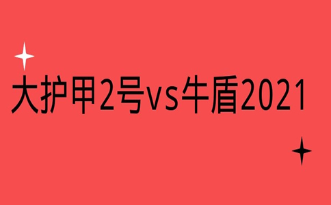 大护甲2号意外险VS牛盾2021意外险谁更胜一筹，买哪款划算？_1