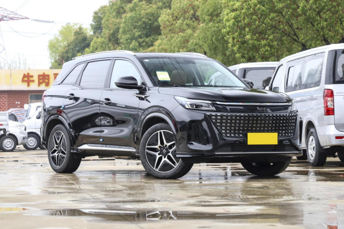 10来万预算买电混SUV，蓝电E5和启辰大V DD-i怎么选？